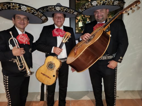 Mariachi Trio performing